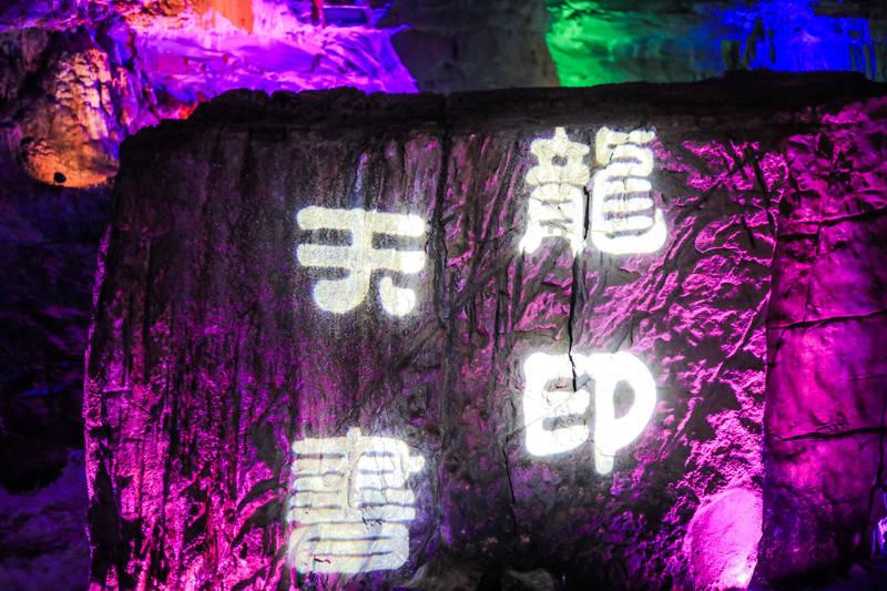 可爱兔子营救