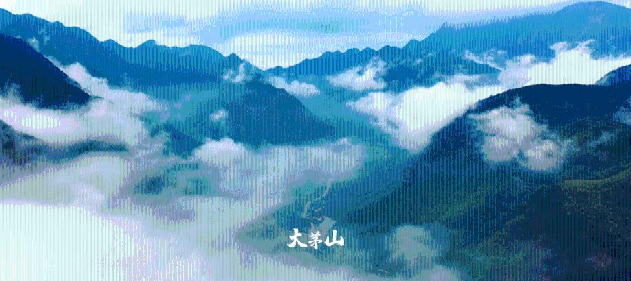 拯救船中女孩