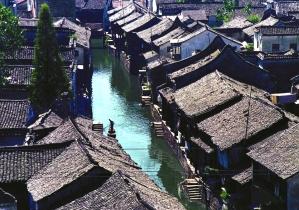 蛇蛇争霸